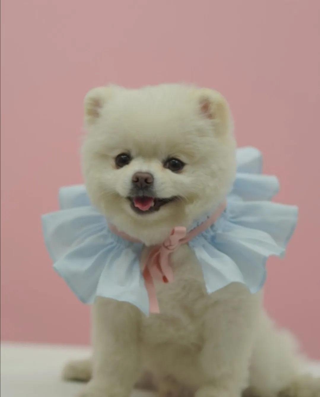 이미지 6