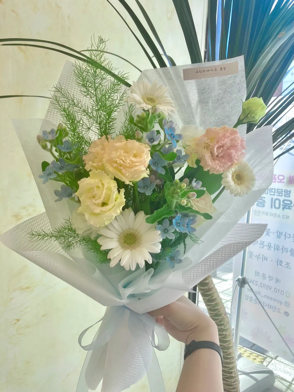 이미지 4