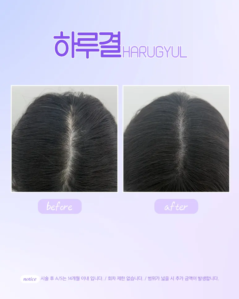 이미지 8