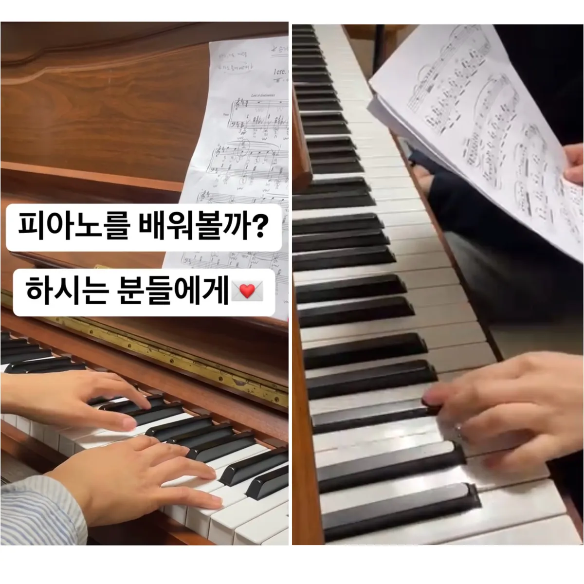 이미지 5