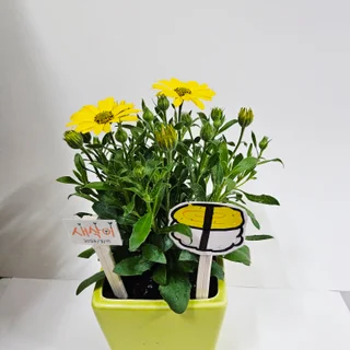 원예치료