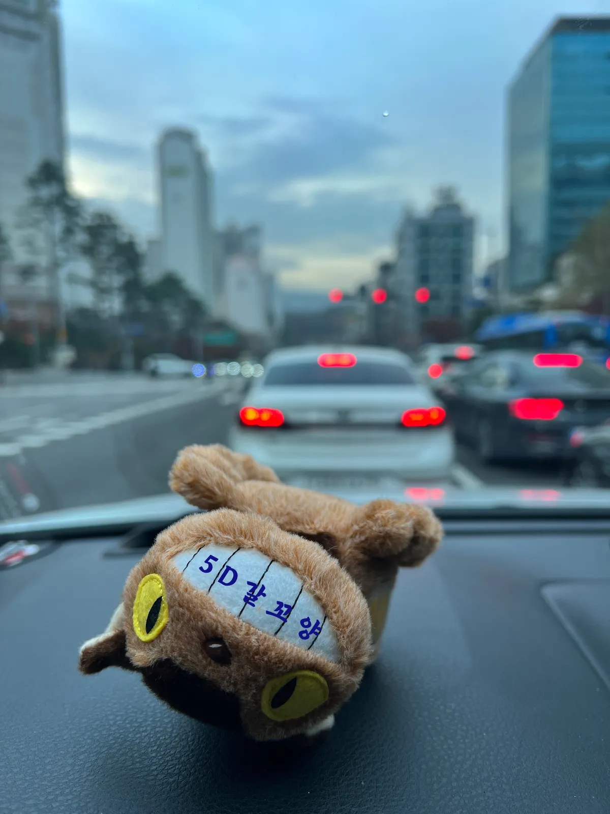 이미지 7