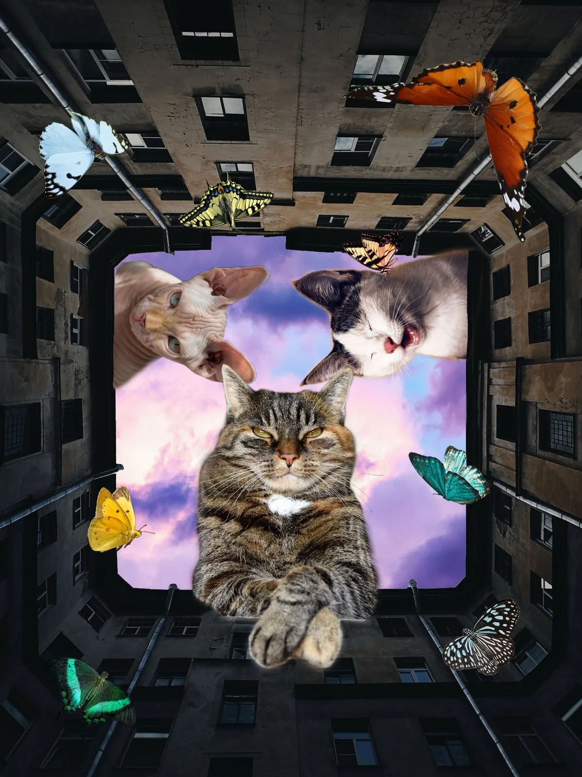 포트폴리오 이미지