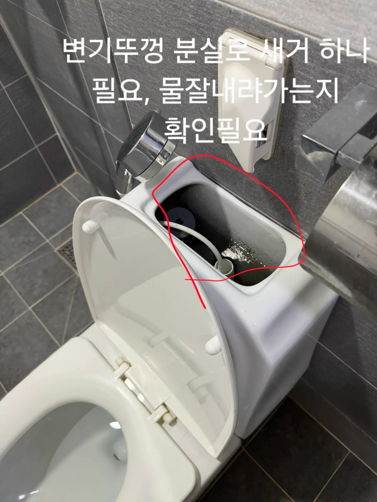 이미지 8