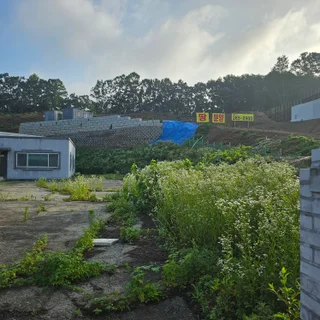 용인 포곡읍 영문리 공장예초