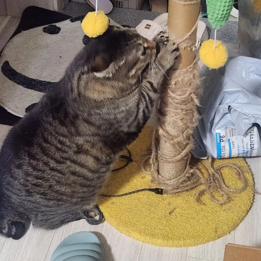 이미지 9
