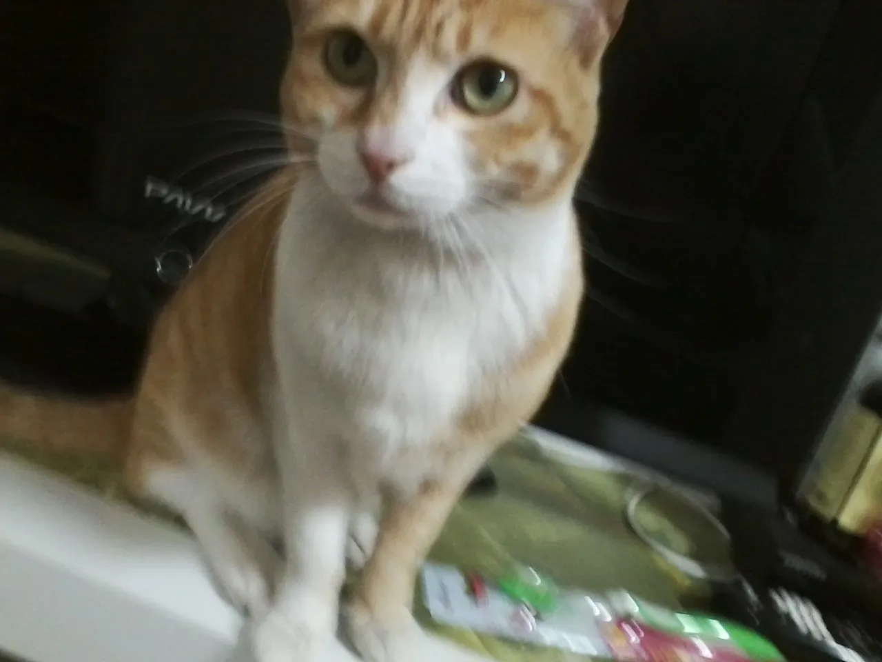 이미지 3