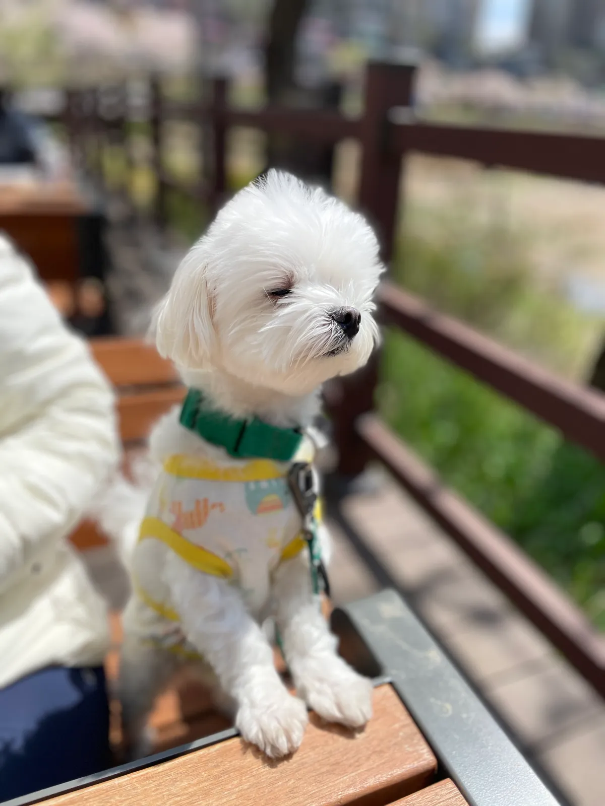 이미지 5