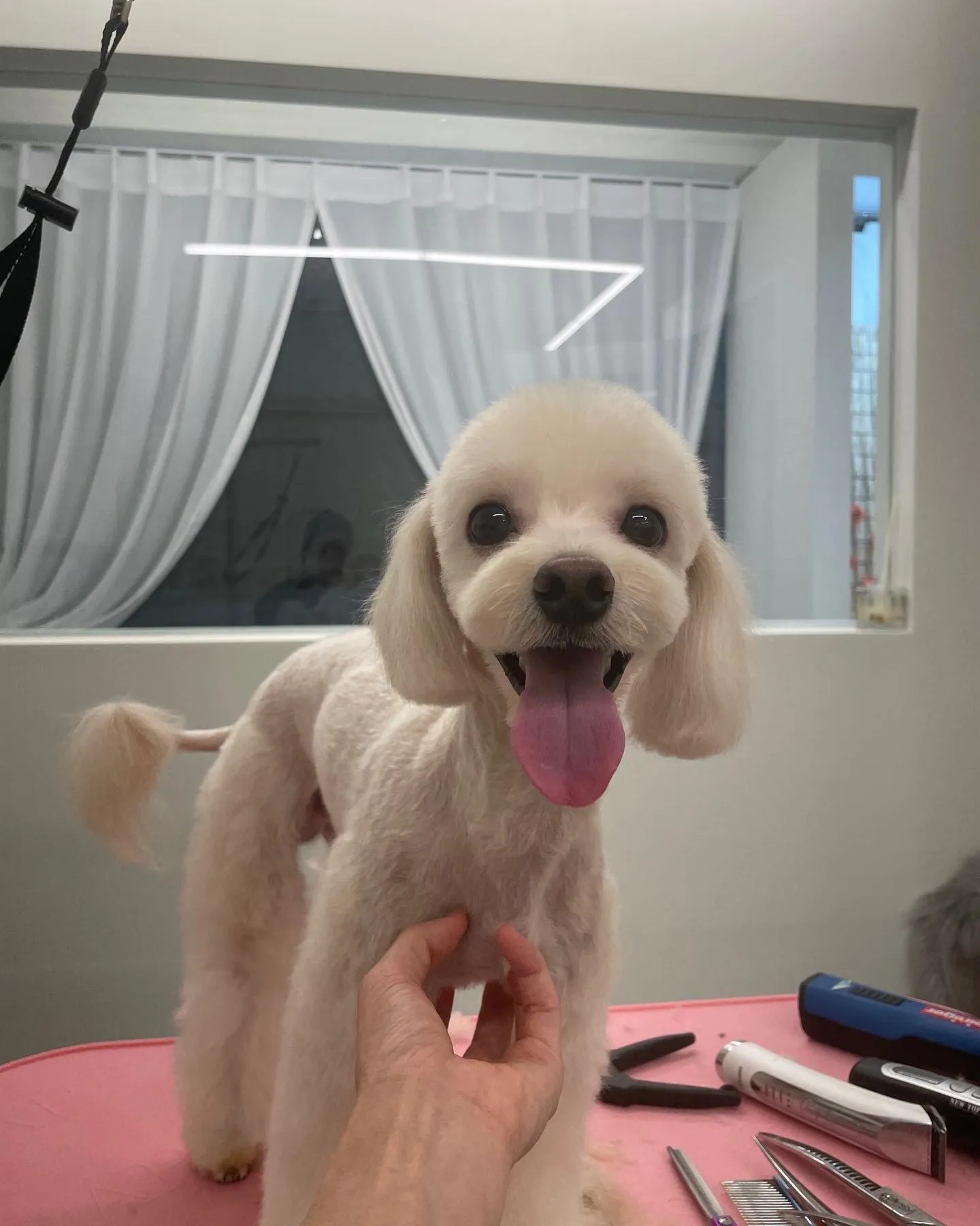 이미지 3