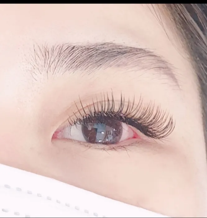 이미지 6