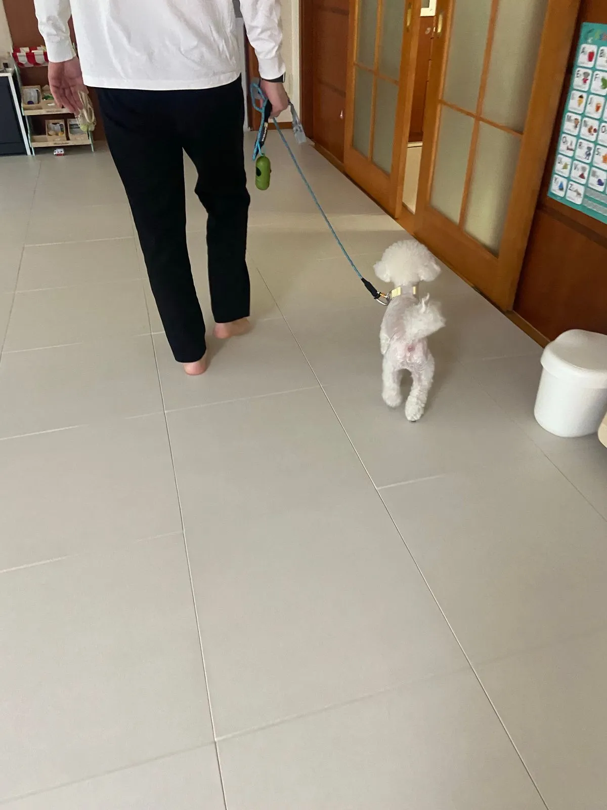 이미지 7