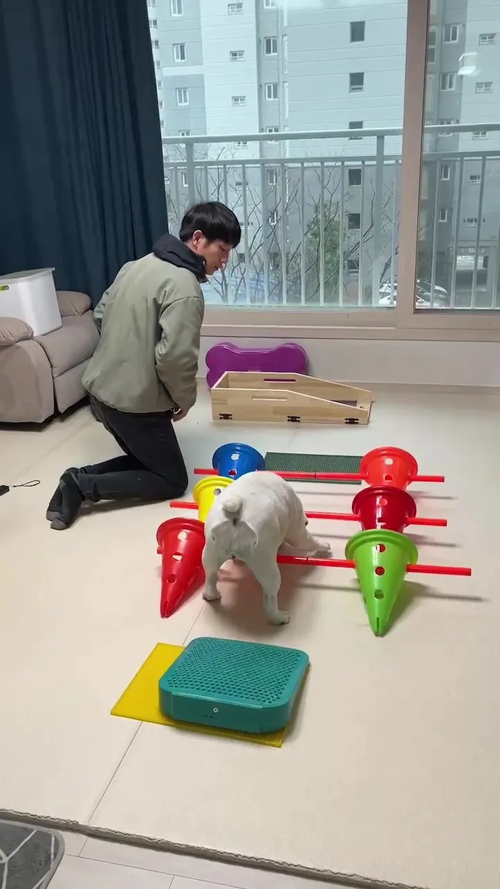 이미지 7
