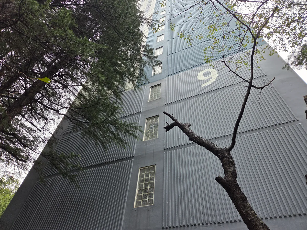 이미지 12