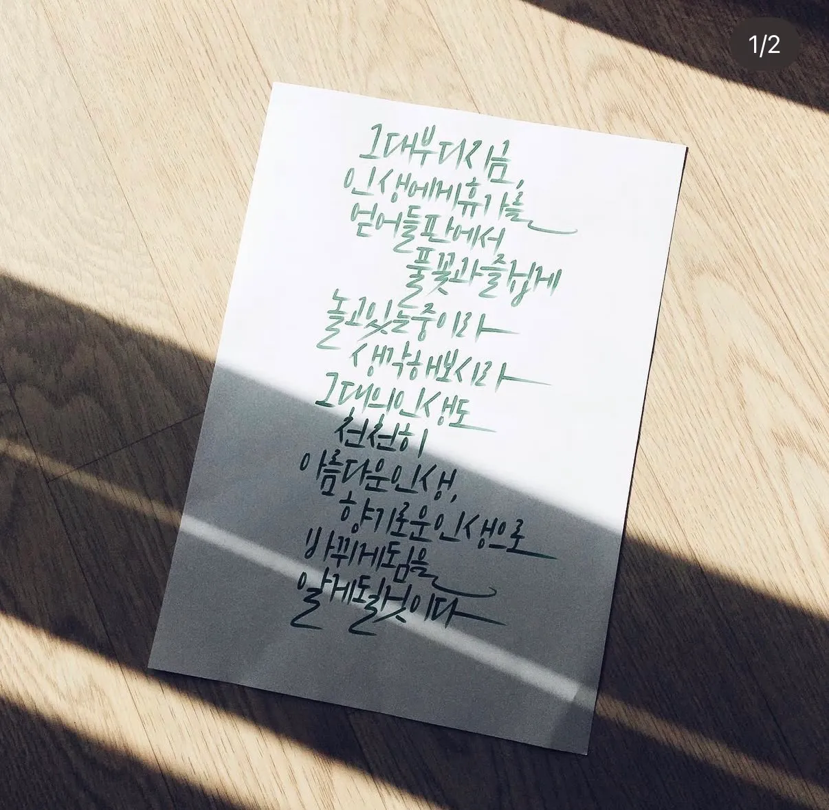 이미지 10