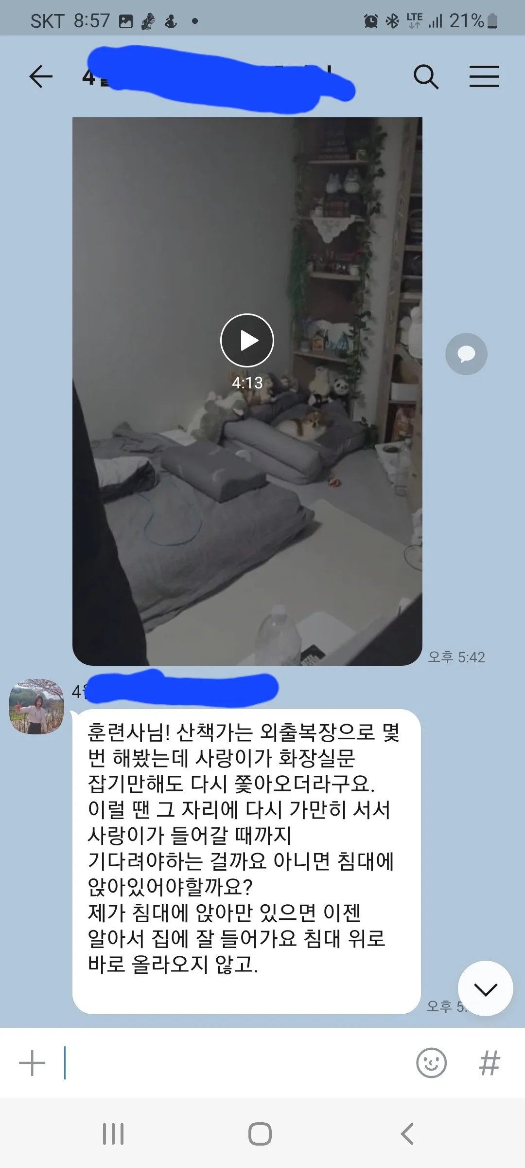 이미지 5