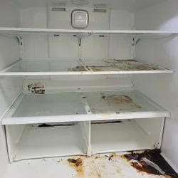 4도어 냉장고 내부 청소