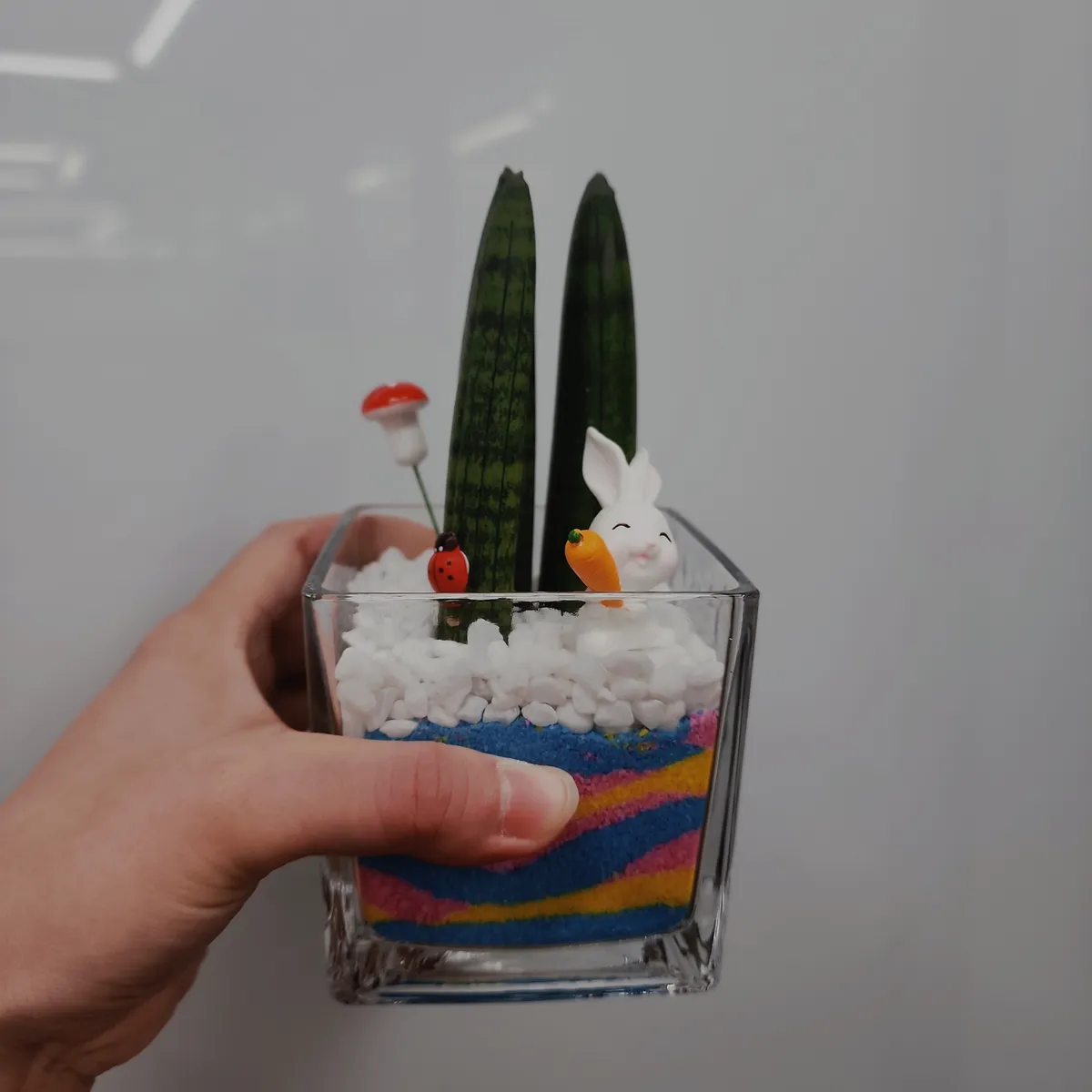 이미지 5