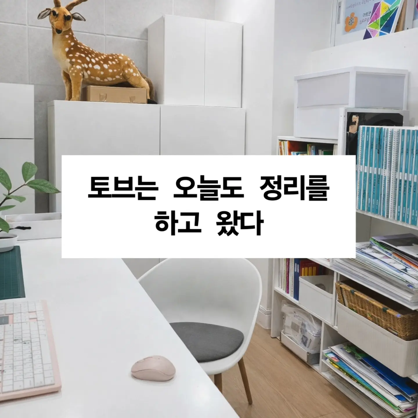 이미지 12