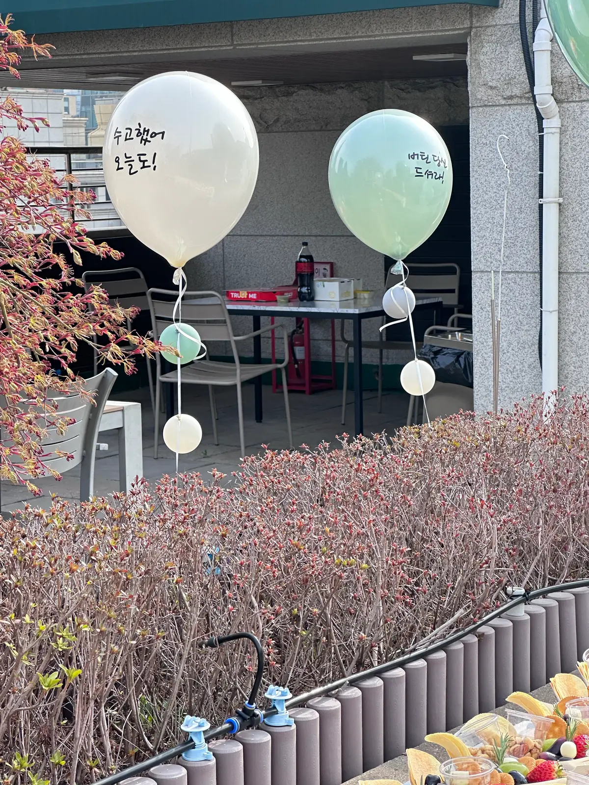 이미지 20