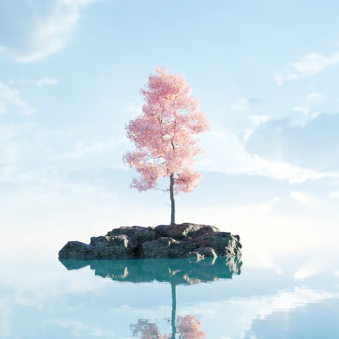 이미지 5