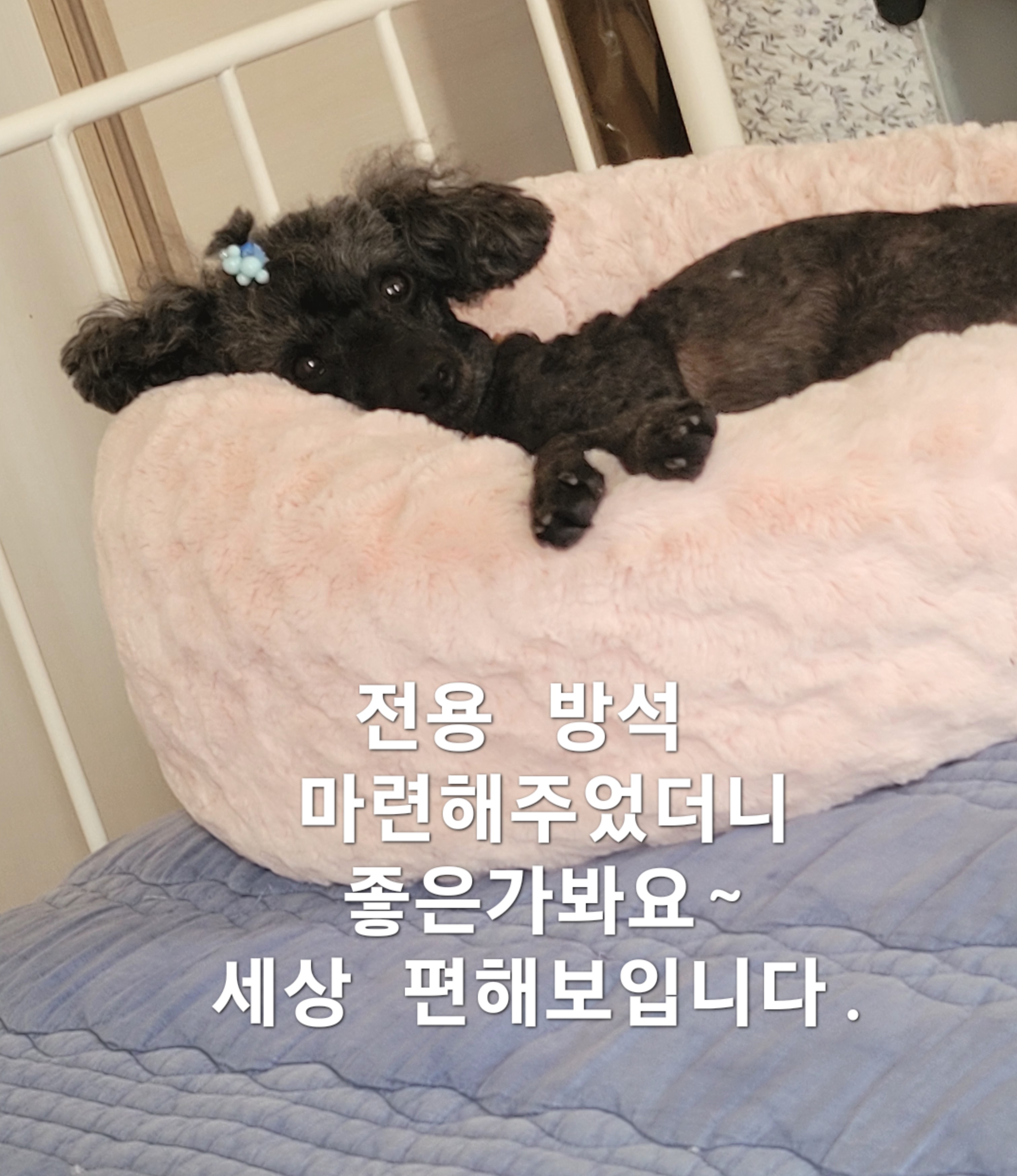 이미지 10