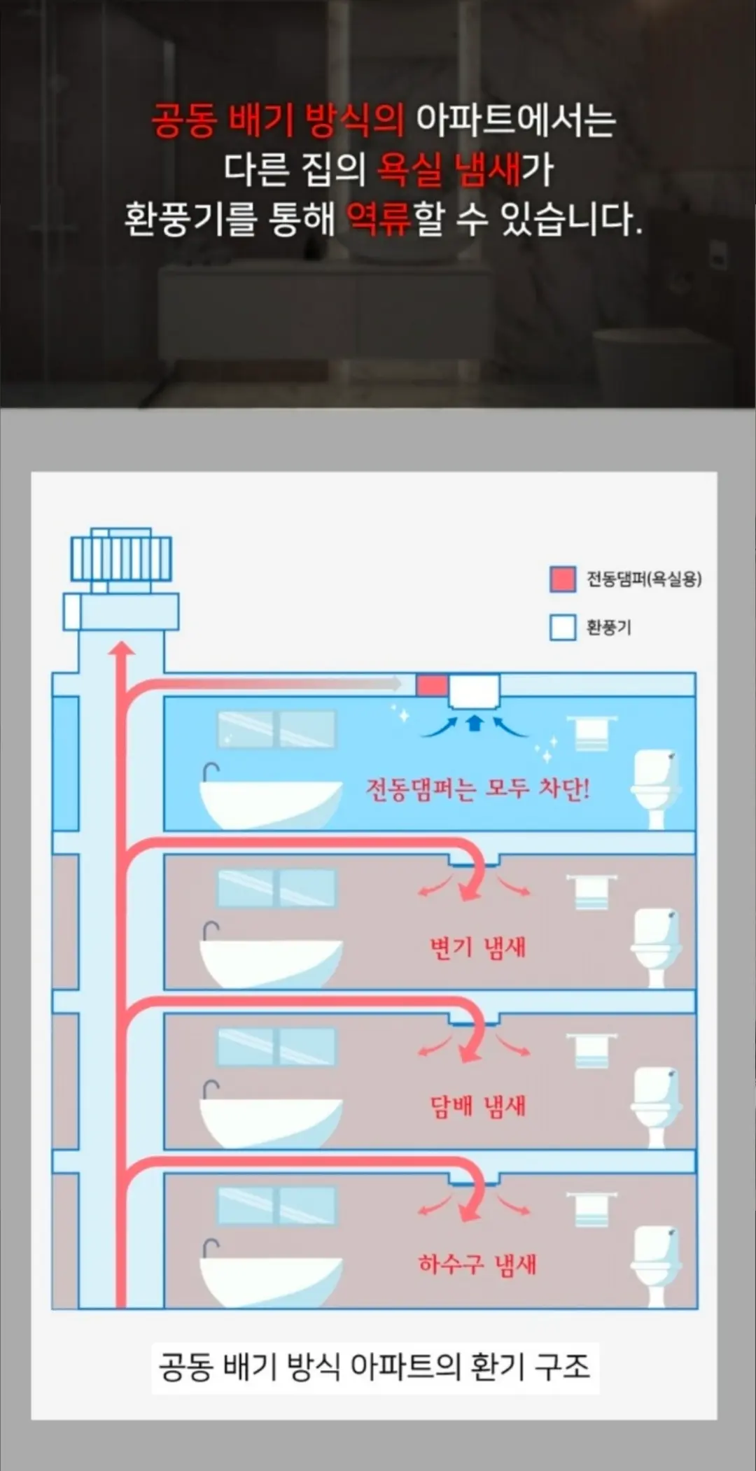 이미지 8