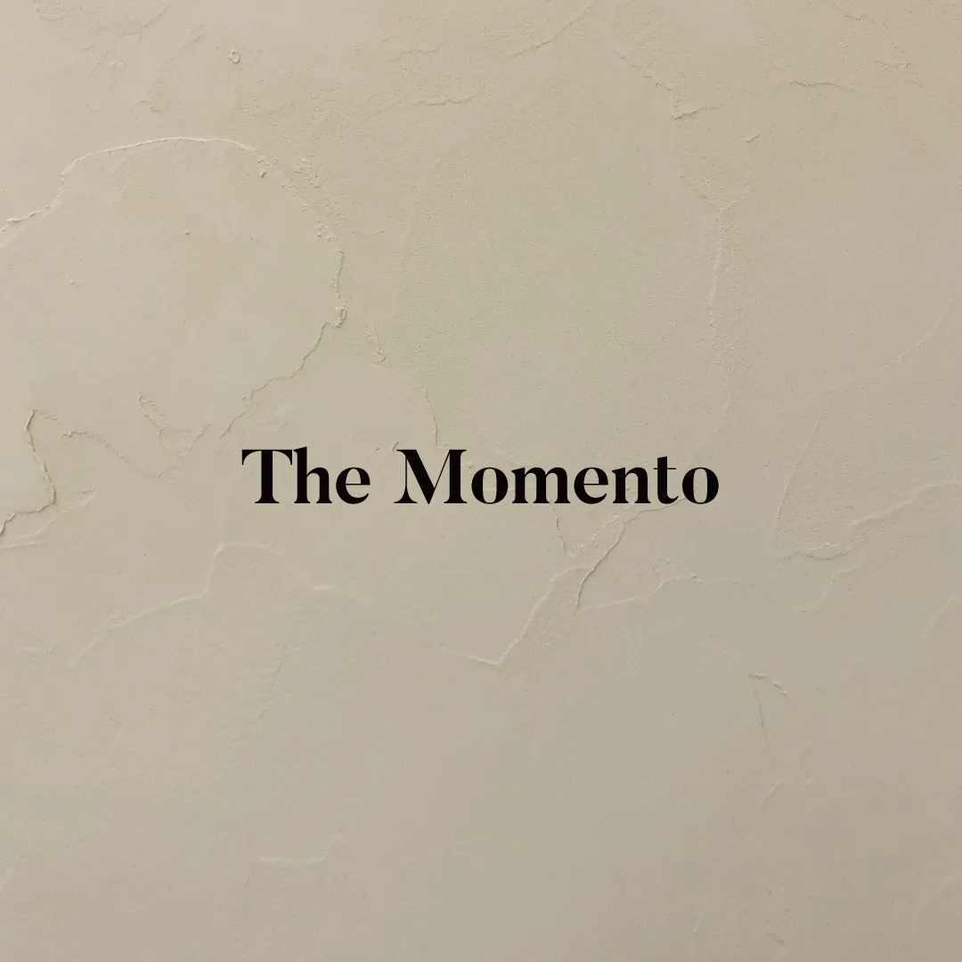 The Momento Vint wall texture / 더 모멘토 스튜디오 - 숨고, 숨은고수 The Momento Vint wall texture