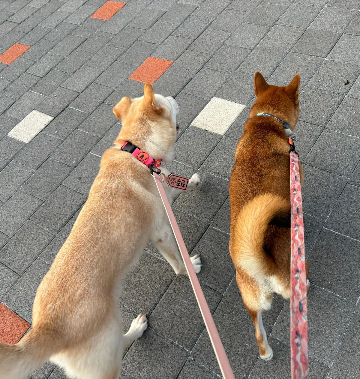 이미지 3