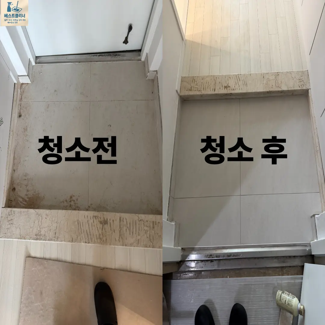 이미지 12