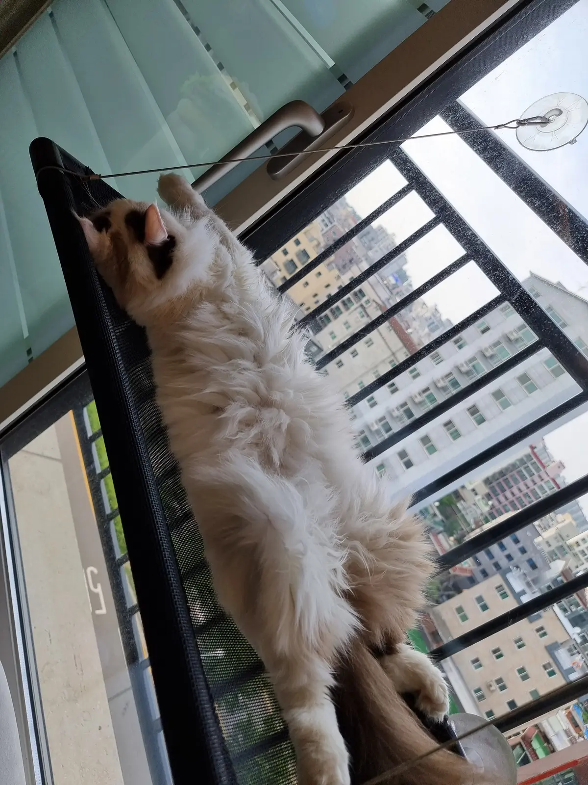 이미지 9