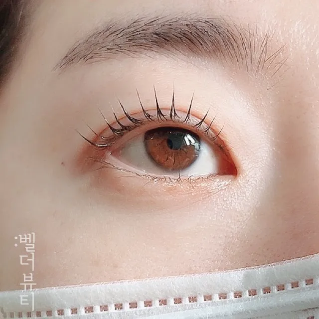 이미지 6