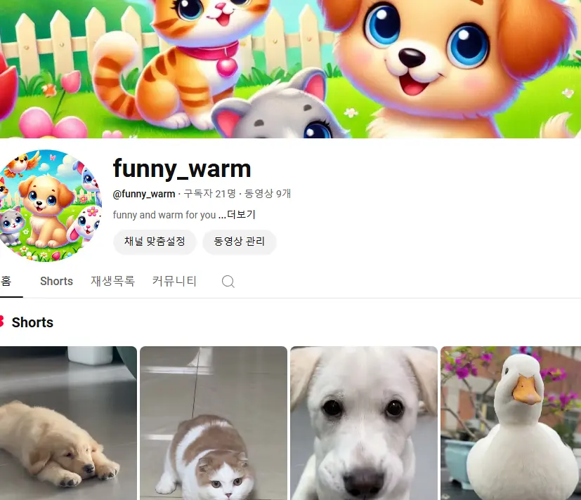 포트폴리오 이미지