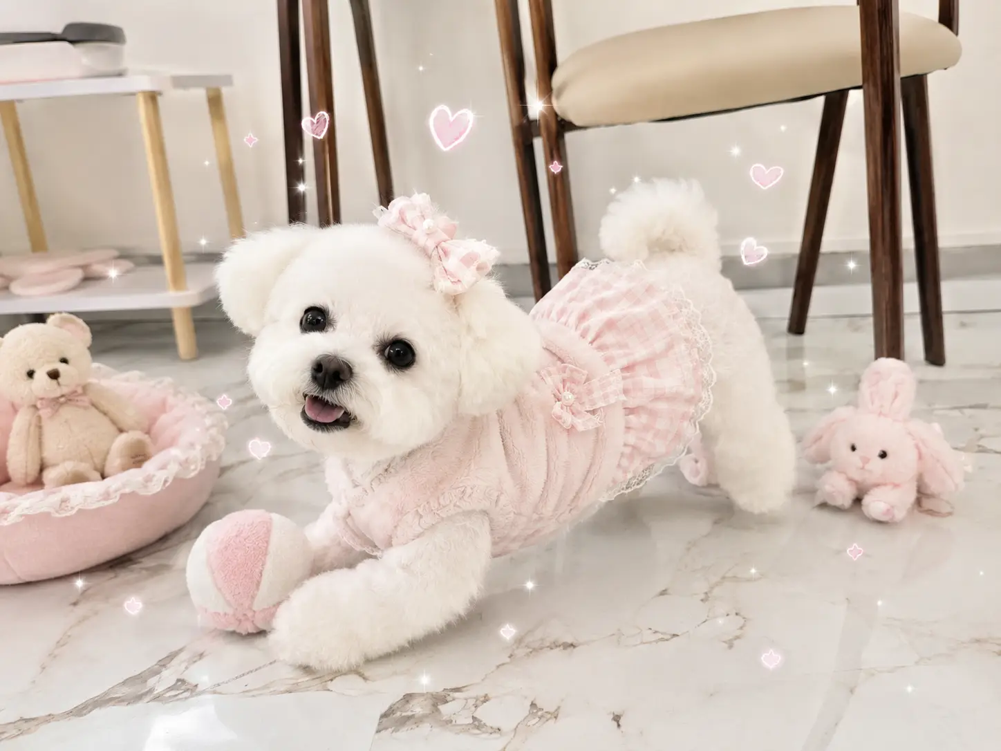 이미지 12