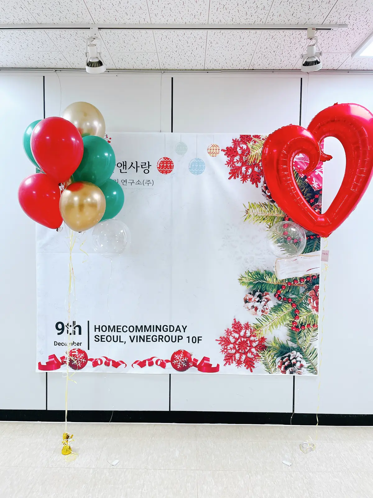 이미지 12