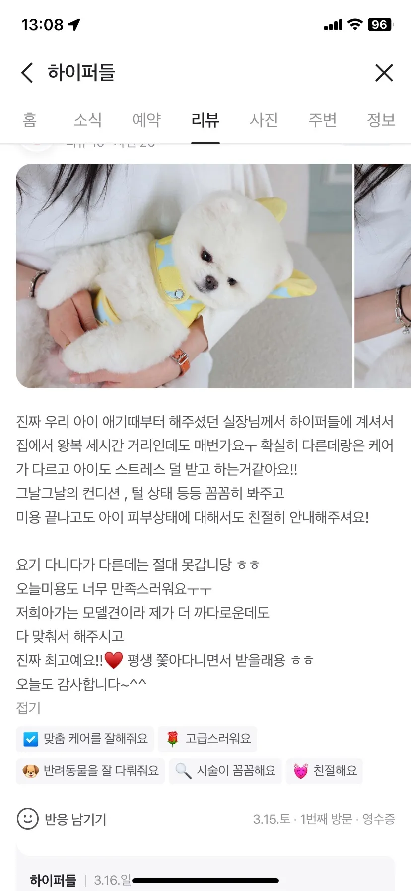 이미지 11