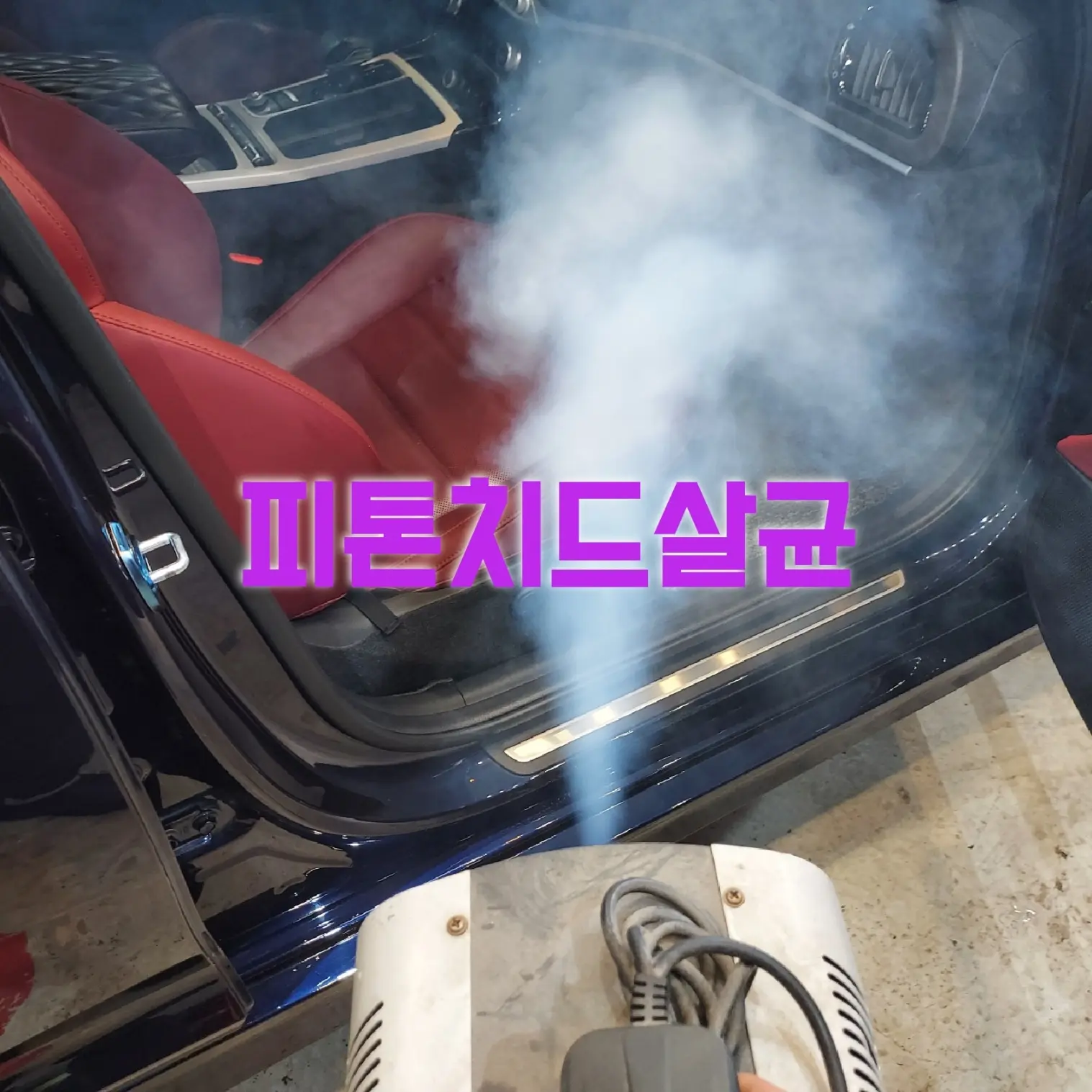 이미지 11
