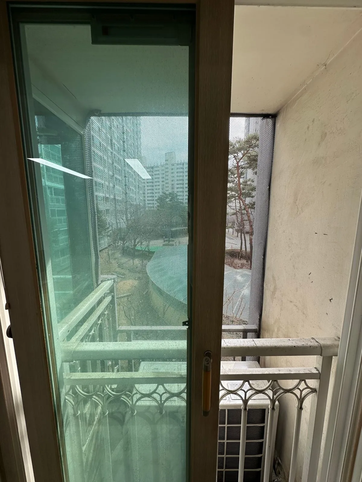 이미지 9