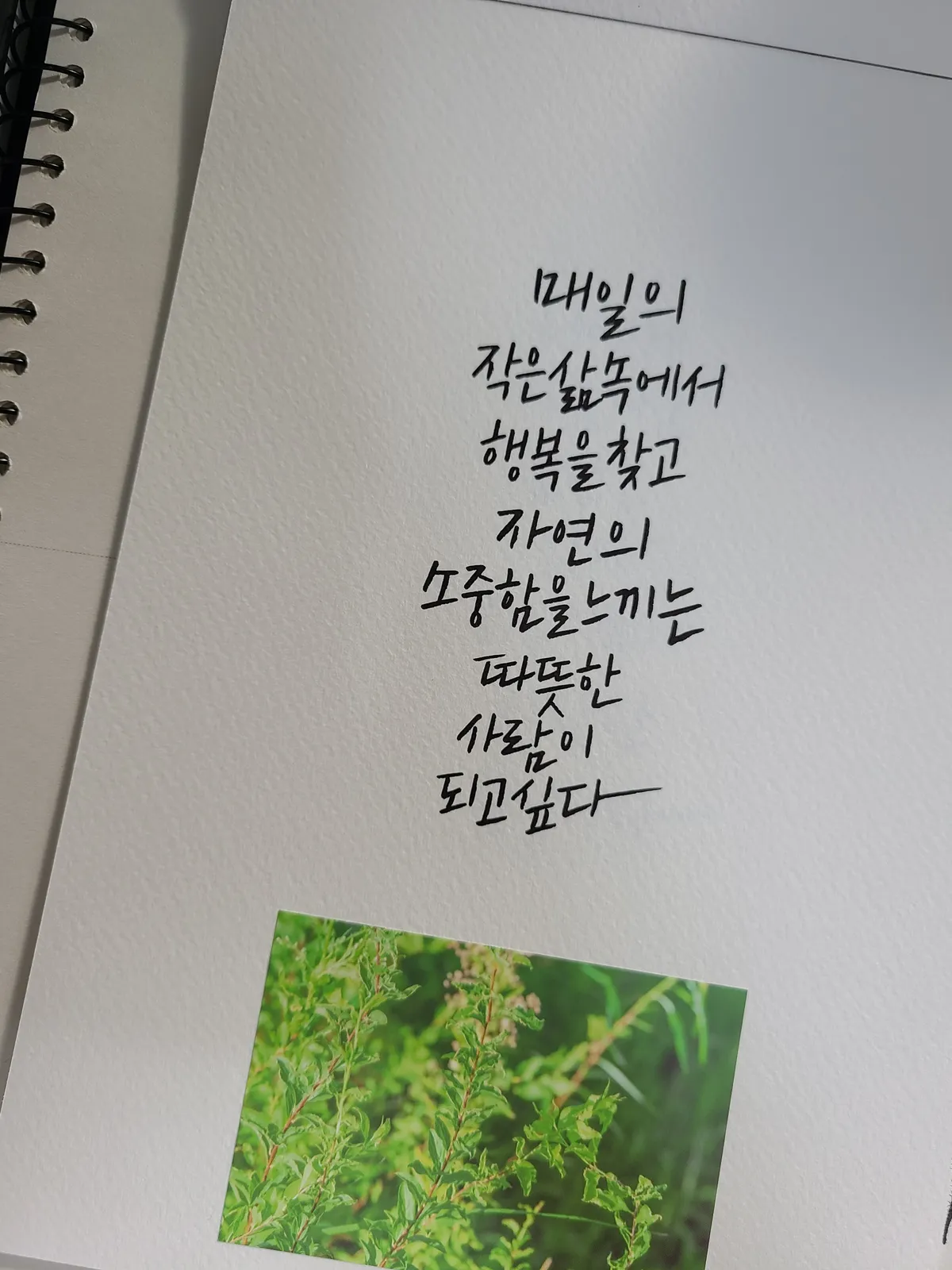 이미지 28
