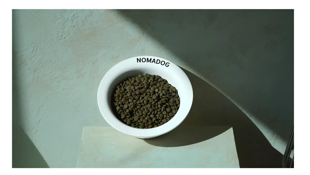 이미지 4