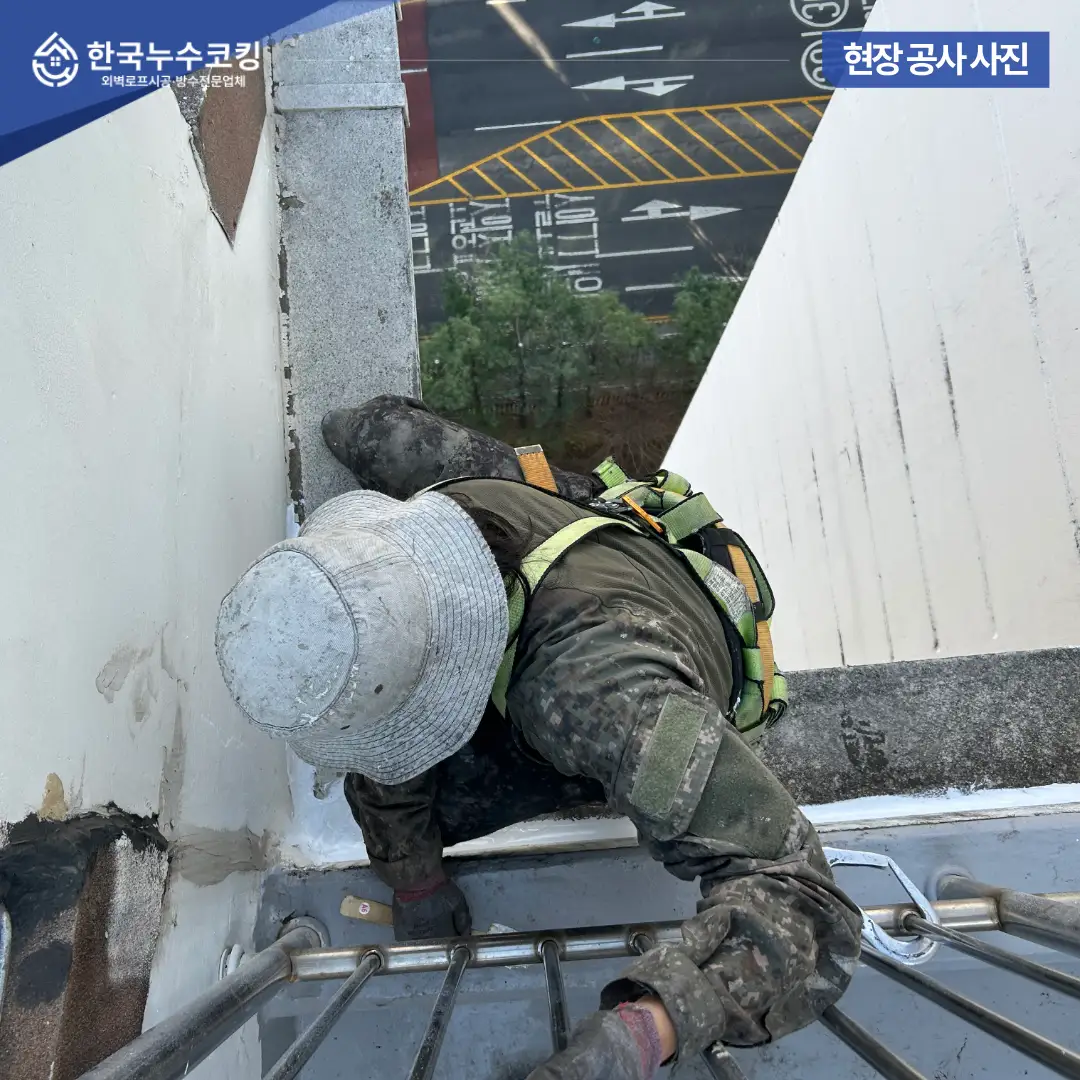 이미지 8