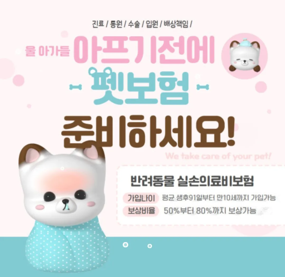 이미지 6