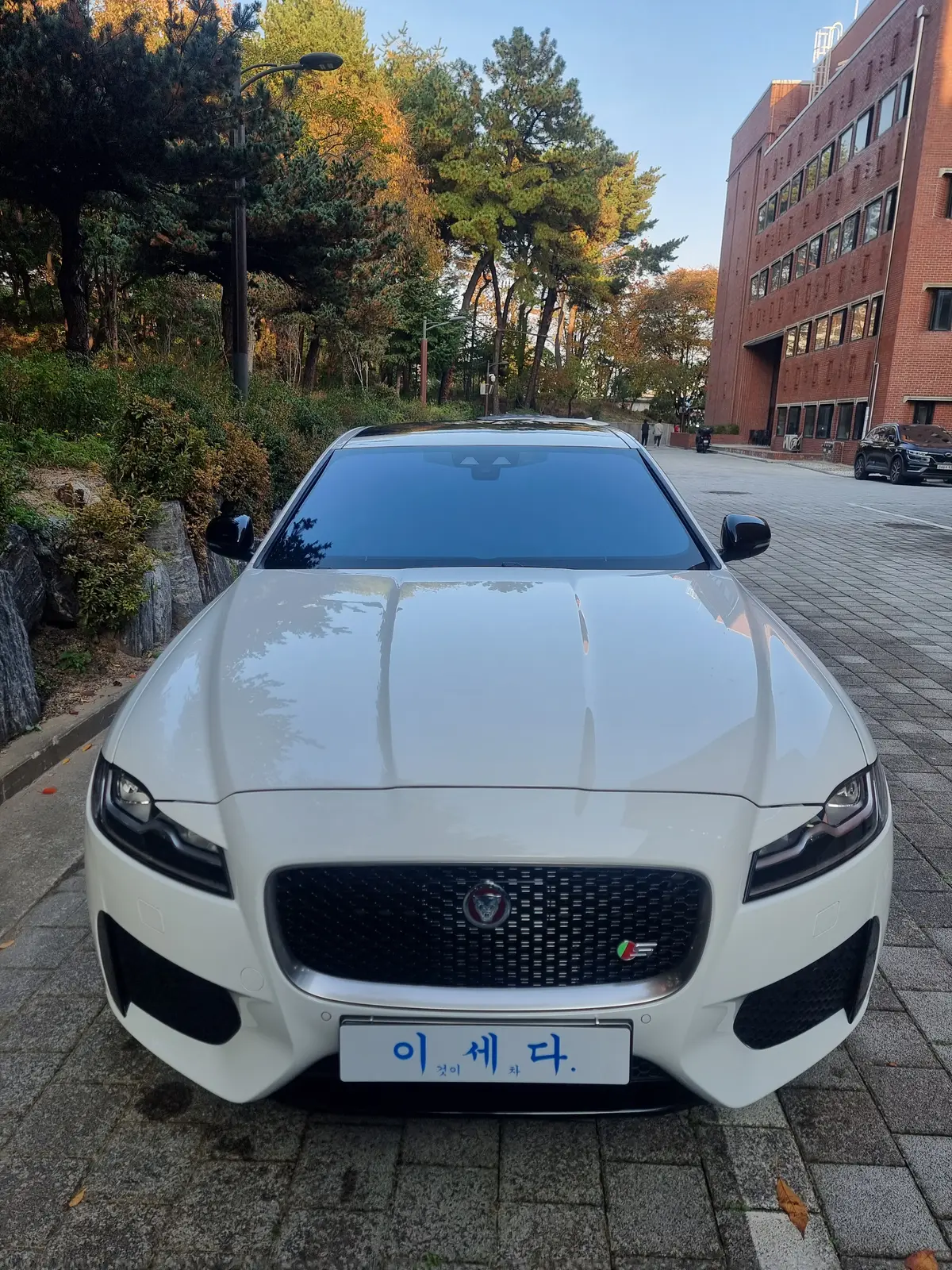이미지 8