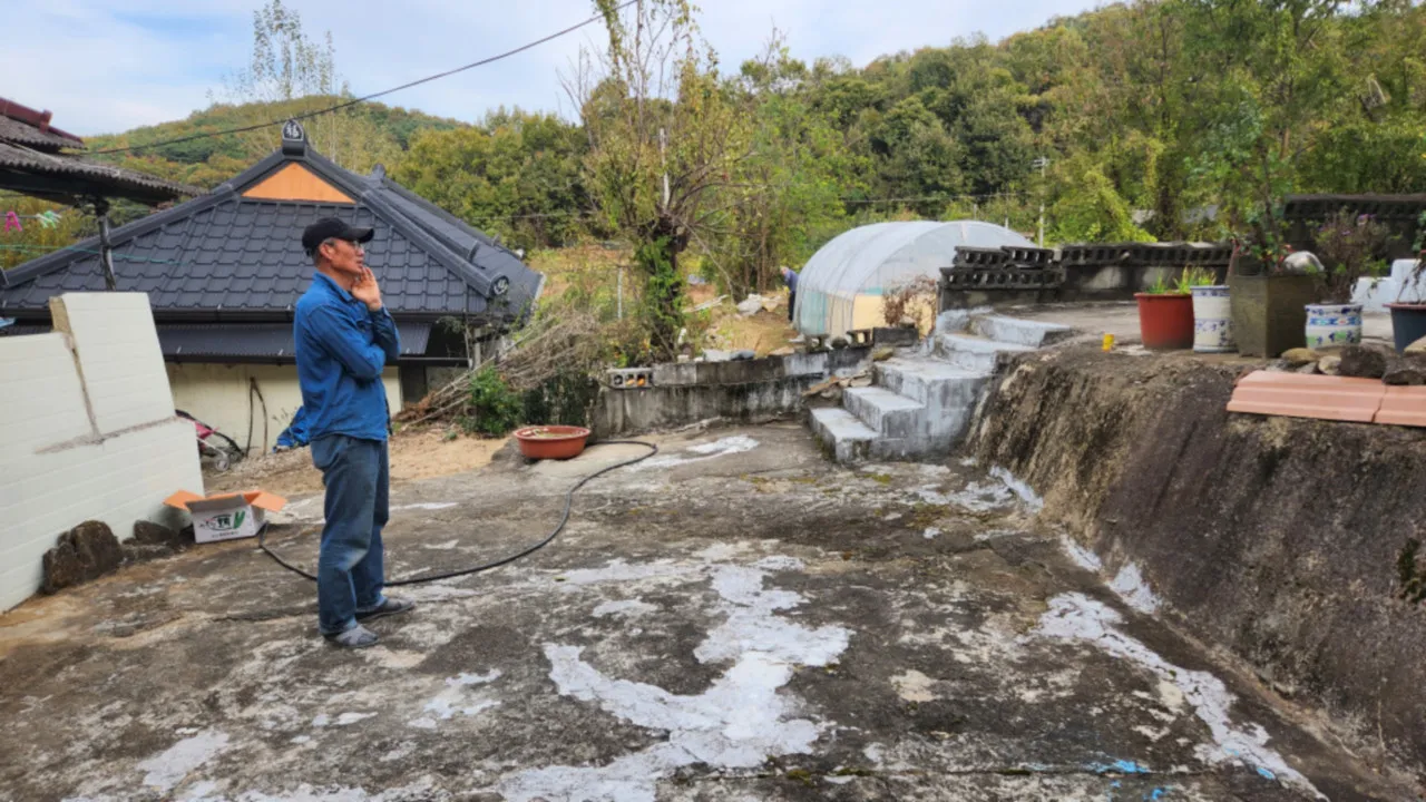 이미지 6