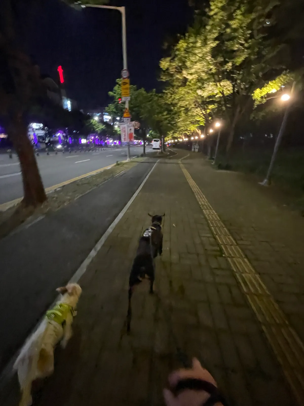 이미지 7