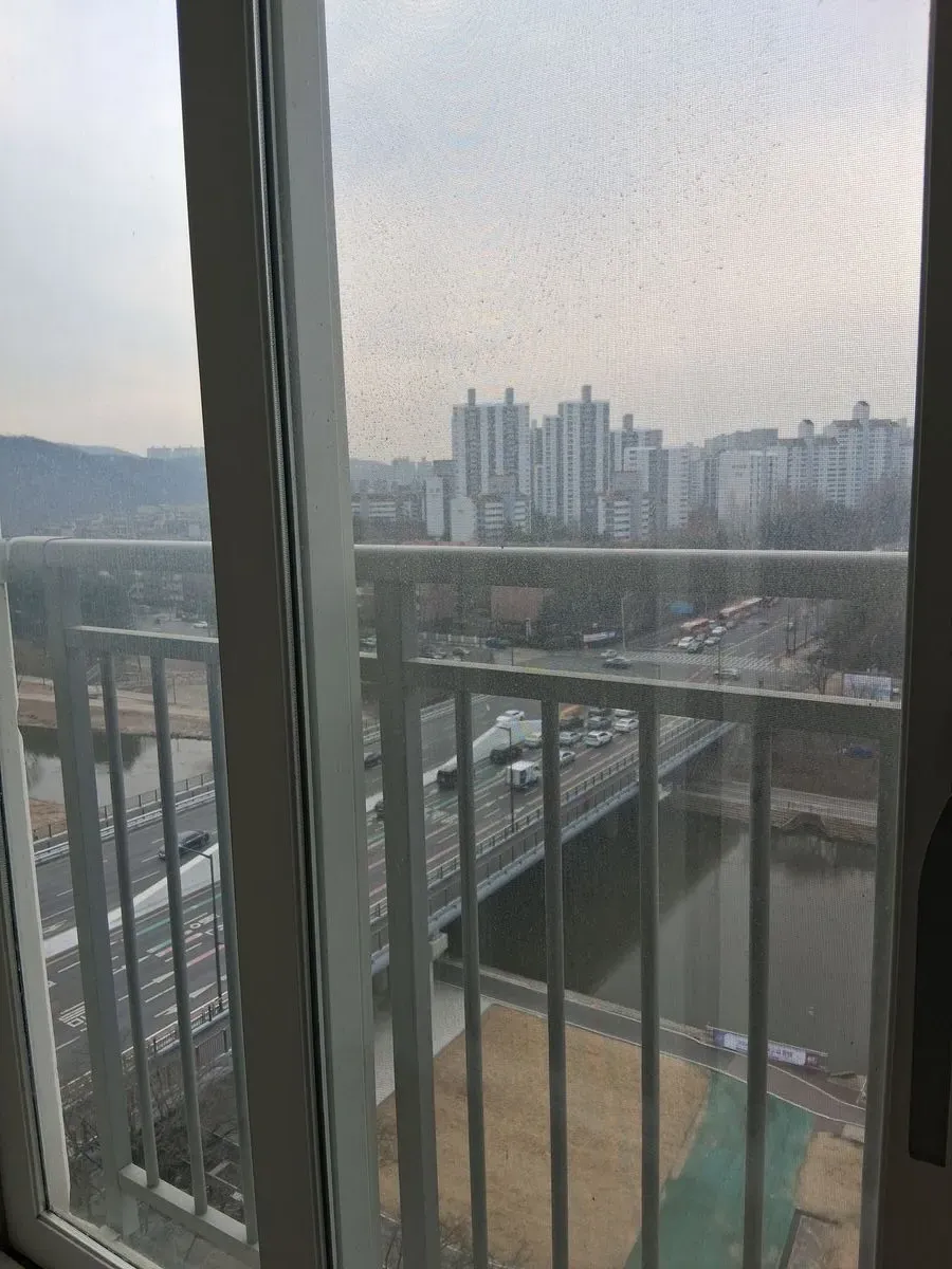 이미지 12