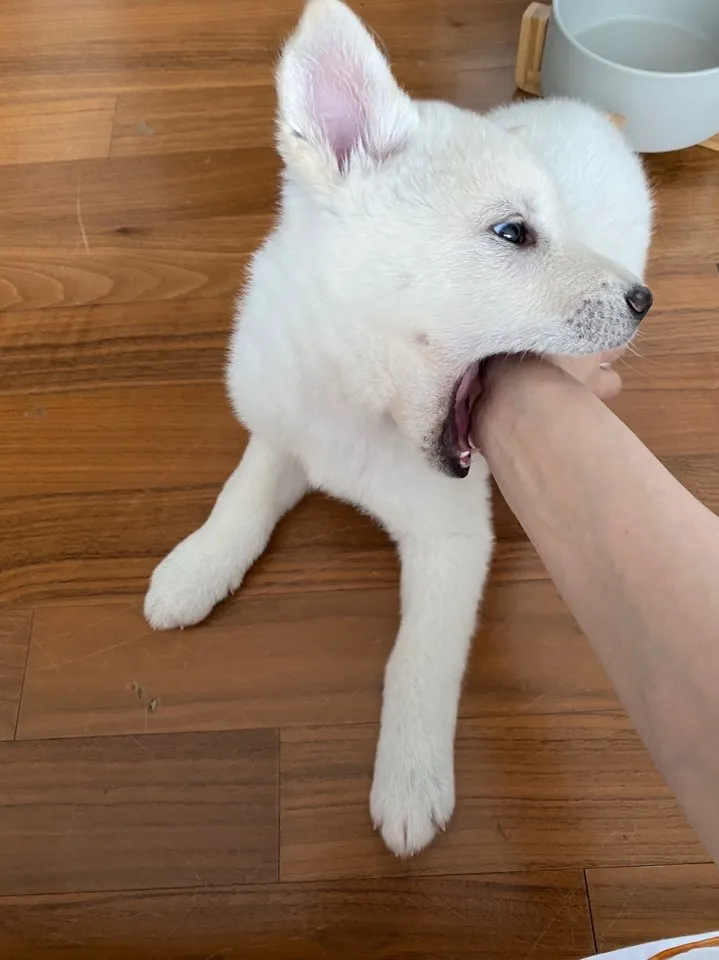 이미지 7