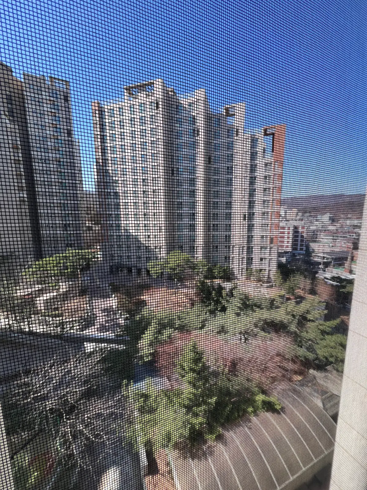 이미지 9