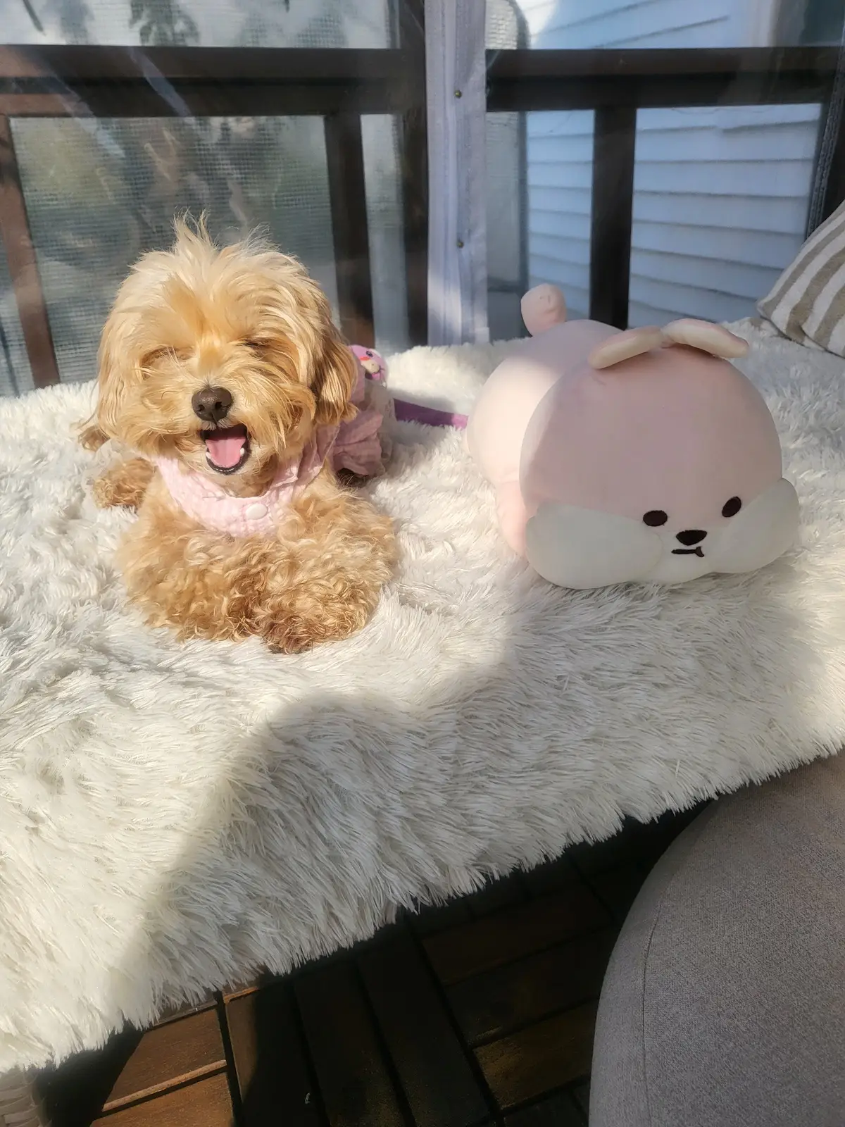 이미지 9