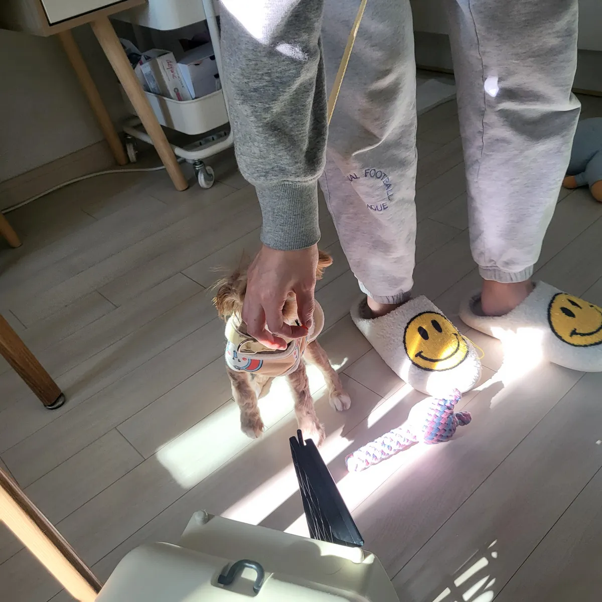 이미지 8