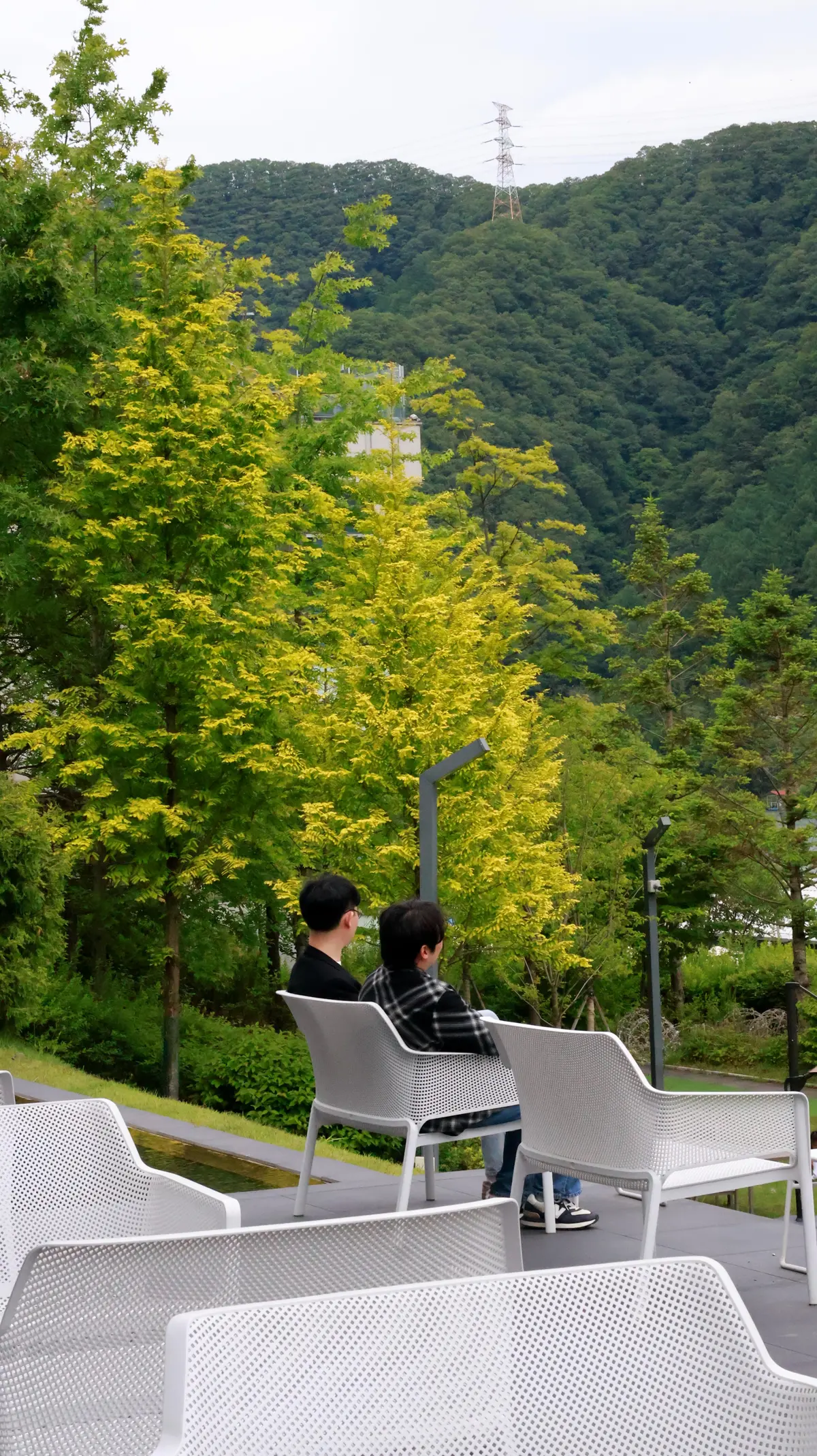 이미지 5